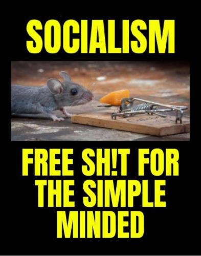 44f53f83-5cc1-4217-a577-68919b820a98d