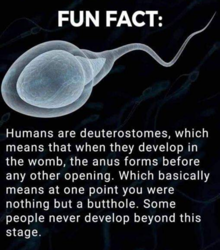 FUN FACTS