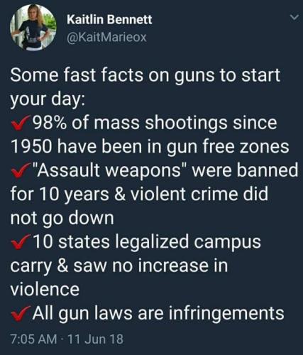 Gun Facts