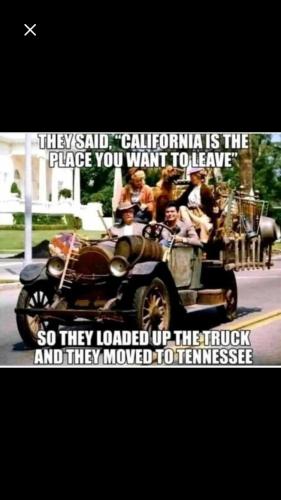 fcb0b921-0118-4d51-981d-aad7c12c46ee