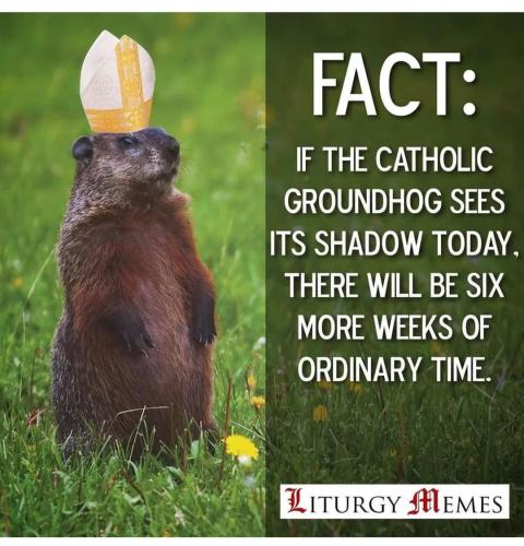 FB_IMG_1644032547821