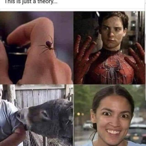 867d47ea-a34e-4e69-bcc1-29b689d0d792d