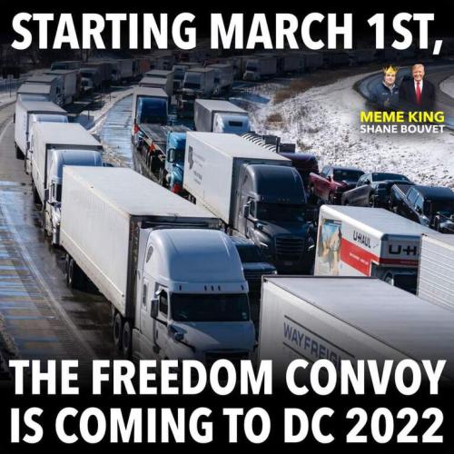 a38e73f15b1ef2143a8ef11f7faa40fe_500x0