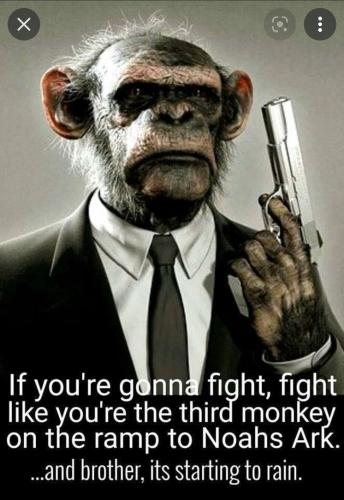 F666DA6B-779F-429F-B1AE-CDDF357F0504