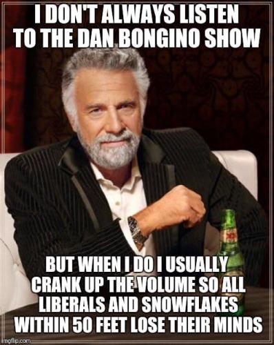 bongino 2