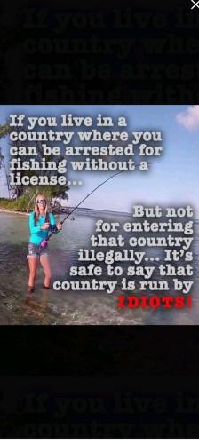 7965482c4faa38cefc0553bafe96843a_500x0