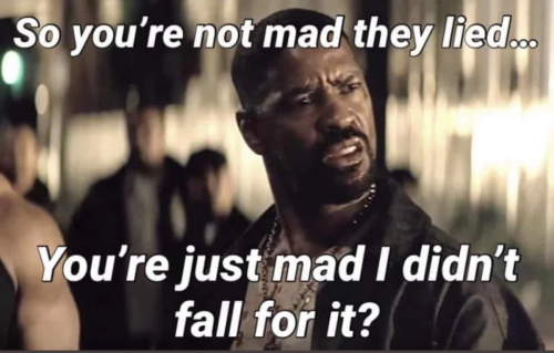 YoureNotMadTheyLiedYouMadWeDidNotFallForIt