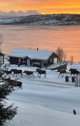 IMG_20220209_081617_225