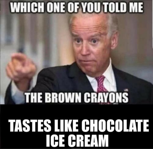 bidenbrowncrayontastebad