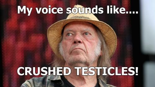 SMALL Neil Young Crushed Testicles 888px