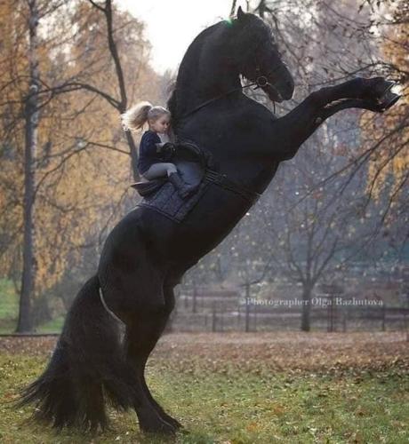 40939971-660C-4040-9CBB-76C0E927D6AB