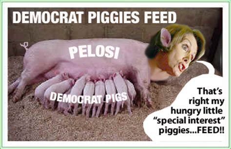 pelosi 5