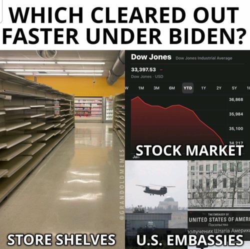 ed446902-628e-4677-9c69-dd204a7892f1