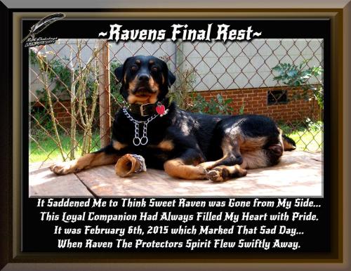 Raven Final Rest Remembered