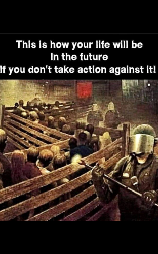 Screenshot_20220220-171348