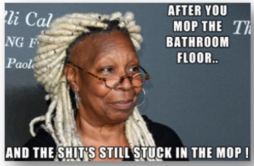 mop