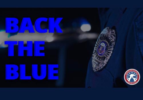 4295854dd7759dc0e9ecd958c2ac8c59_500x0