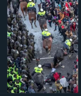 Screenshot 2022-02-18 9.09.02 PM