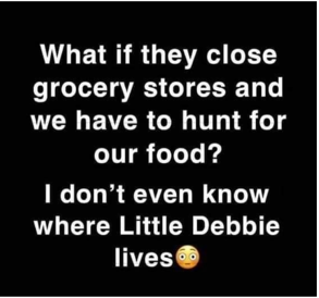 Little Debbie