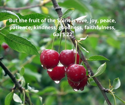 fruit of the spirit