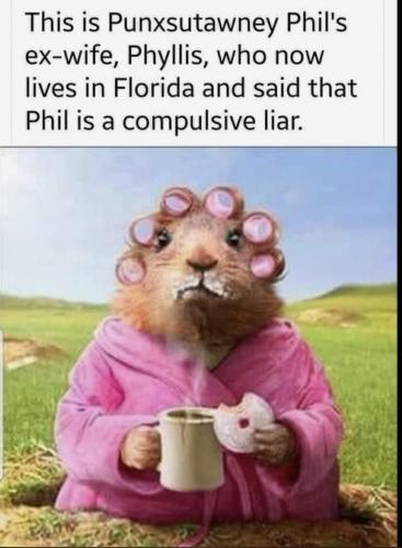 phylis