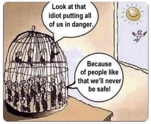 FB_IMG_1643393933632