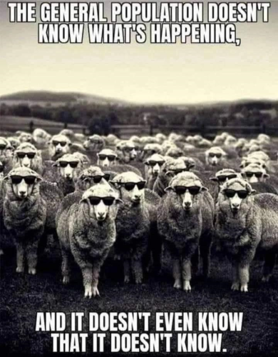 General population doesn't know