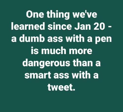 Dumb ass