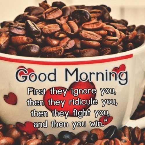 1644169037927_hub_od_