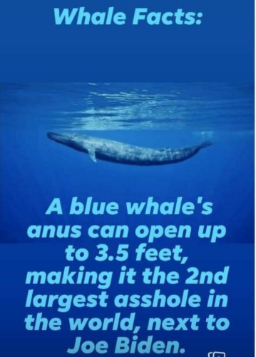 1645383608108_hub_od_