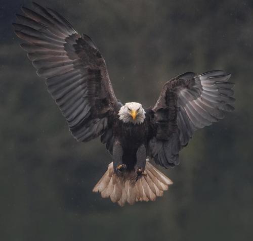 B73FDF89-273E-4CBC-8A90-6766354ED308