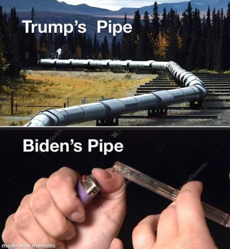 bidens pipe