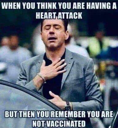 FB_IMG_1645466374263