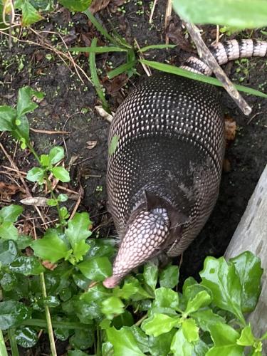 1AC416AB-5B33-4706-9B6B-1DEE29DBD302