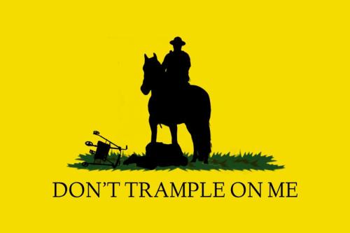 D482650E-3470-4437-BC3B-868FBB866FD9