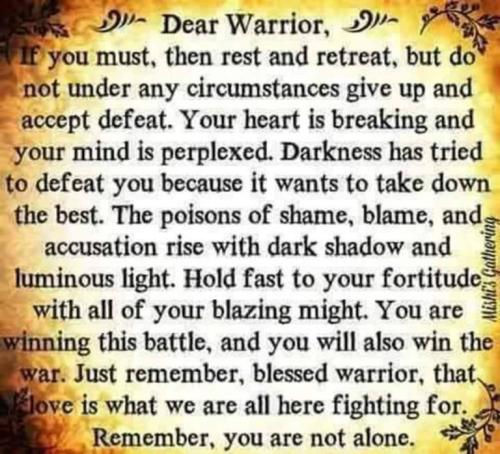 0c981e2cc056f0179f2490f0ee48dd08_500x0