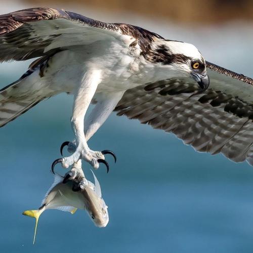 8DF4C913-A557-4EA5-9C79-E2CC357804EE