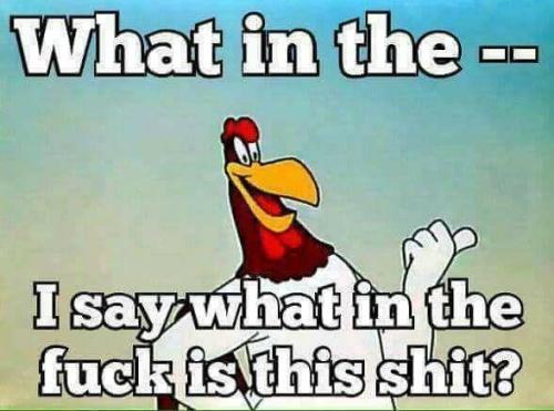 71d8bbda21a9d1a7f102d6768f515591_500