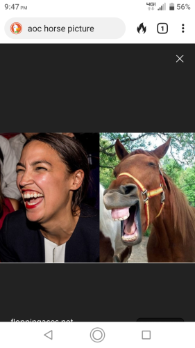 c241a585-5cc4-4579-9753-59389f9c88f1