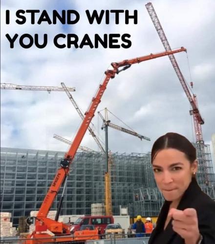 StandWithYouCrane