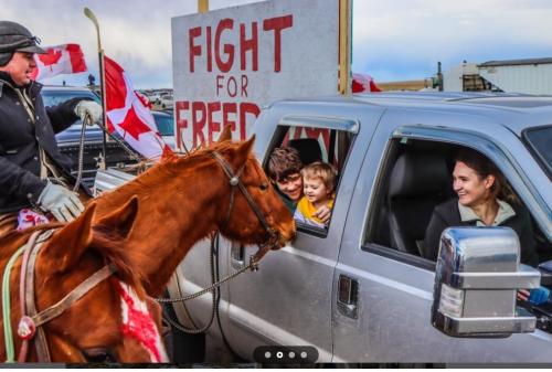 war canada horses