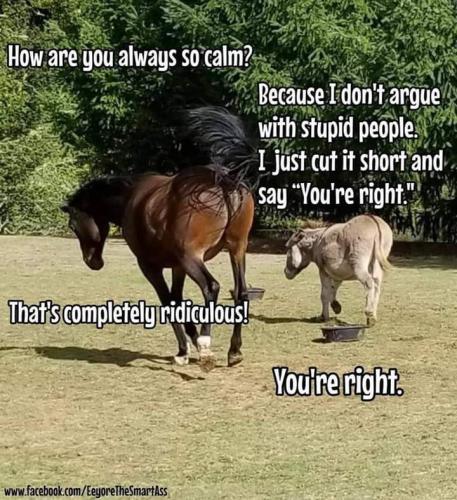 FB_IMG_1609076718974