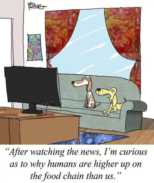 7E4E16B6-0834-4FDB-9A95-C4C17FF8C464