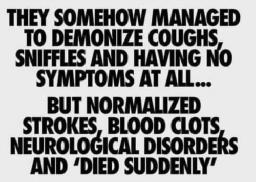 thetakeoverofstupidity