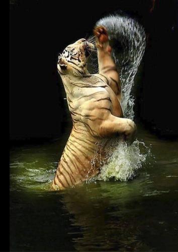 76A3306A-D28D-419B-843A-9C4626D47E6D