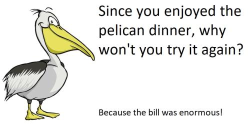 20220217 pelican steak bill enormous