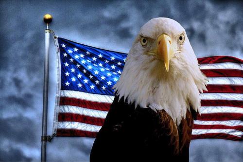 Flag - With eagle 5 - Staring