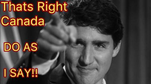 7c0851556608b7bc1cfe32a7e099c269_500x0