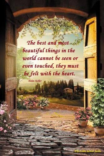 IMG_20220205_164858_353