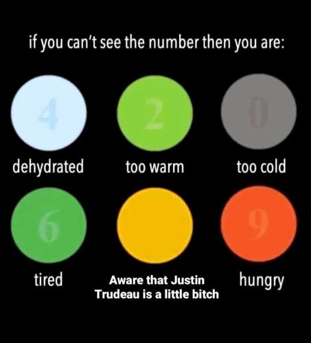 IMG_20220207_220301_448